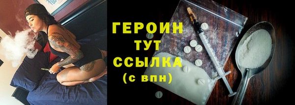 ГАЛЛЮЦИНОГЕННЫЕ ГРИБЫ Дмитриев