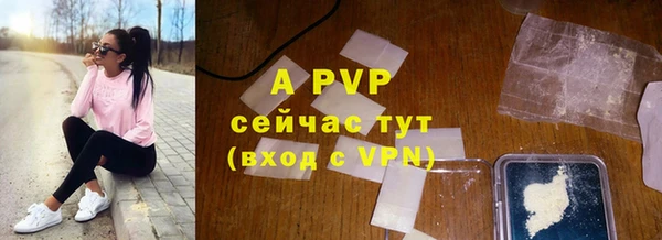 ГАЛЛЮЦИНОГЕННЫЕ ГРИБЫ Дмитриев