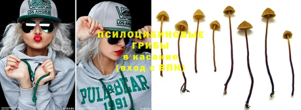 не бодяженный Дмитров