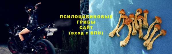 ГАЛЛЮЦИНОГЕННЫЕ ГРИБЫ Дмитриев