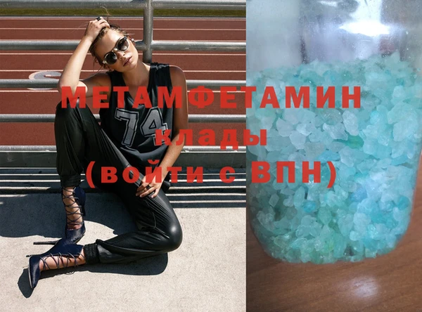 ГАЛЛЮЦИНОГЕННЫЕ ГРИБЫ Дмитриев