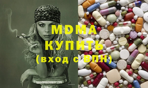 ГАЛЛЮЦИНОГЕННЫЕ ГРИБЫ Дмитриев