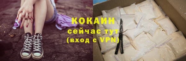 ГАЛЛЮЦИНОГЕННЫЕ ГРИБЫ Дмитриев