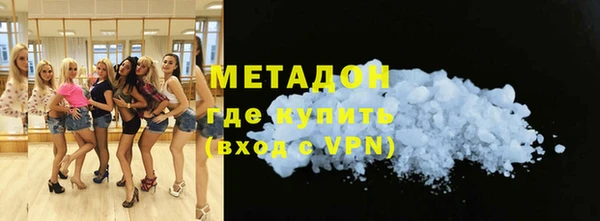 ГАЛЛЮЦИНОГЕННЫЕ ГРИБЫ Дмитриев