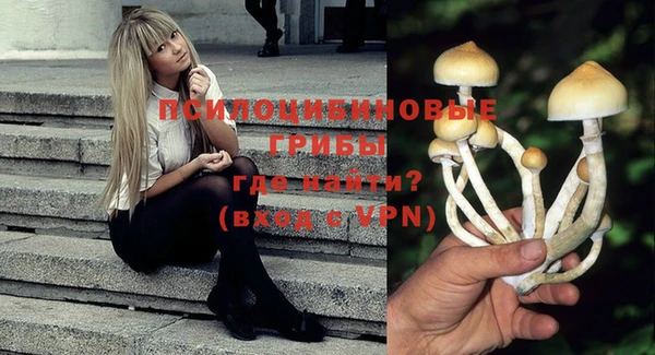 ГАЛЛЮЦИНОГЕННЫЕ ГРИБЫ Дмитриев