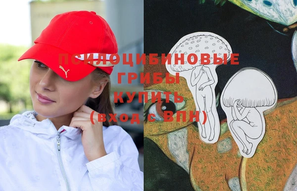 не бодяженный Дмитров