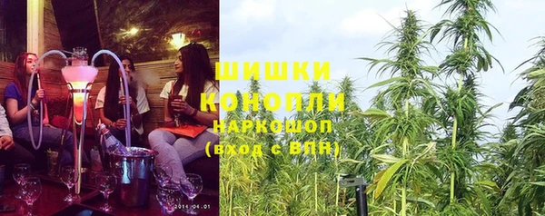 ГАЛЛЮЦИНОГЕННЫЕ ГРИБЫ Дмитриев