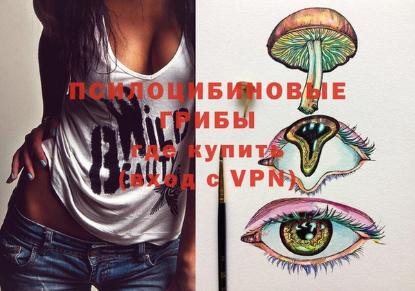 не бодяженный Дмитров