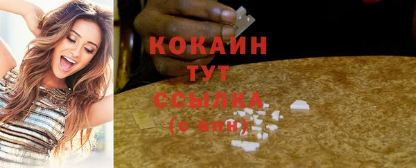 ALPHA PVP Ельня